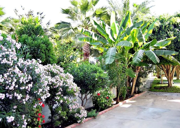 Rododafni Beach Lejlighedshotel