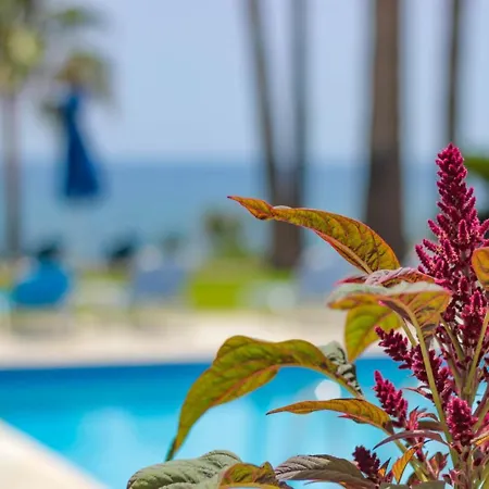 شقة فندقية رودودافني بيتش أبارتمنتس 4*