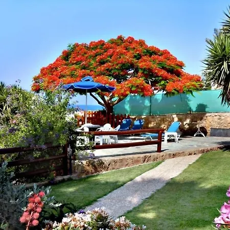 Aparthotel Rododafni Klorakas