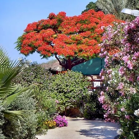 رودودافني بيتش أبارتمنتس شقة فندقية 4*