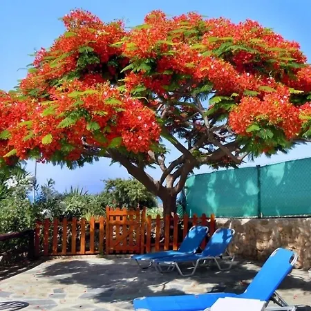 رودودافني بيتش أبارتمنتس 4* Klorakas