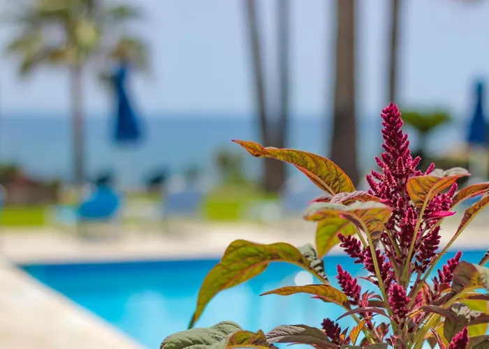 Apartahotel Rododafni 4*