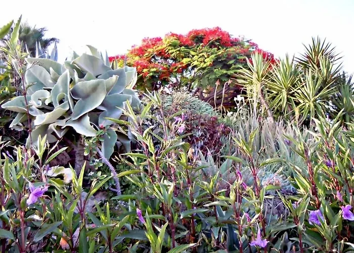 Rododafni Apartahotel 4*