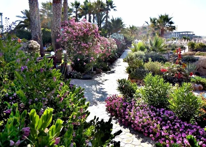 Apartahotel Rododafni Klorakas